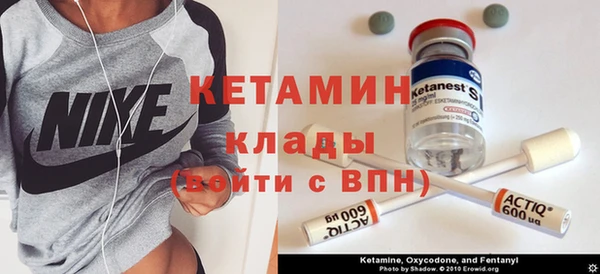 прущие грибы Абаза