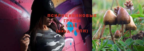 прущие грибы Абаза