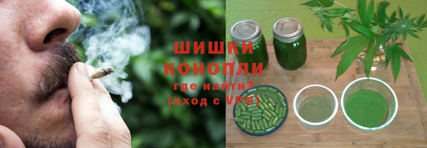прущие грибы Абаза