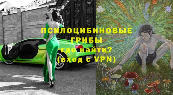 прущие грибы Абаза