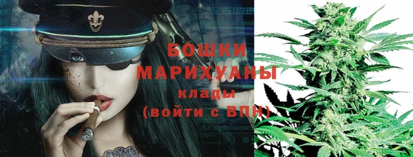 прущие грибы Всеволожск
