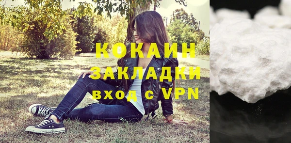 прущие грибы Абаза