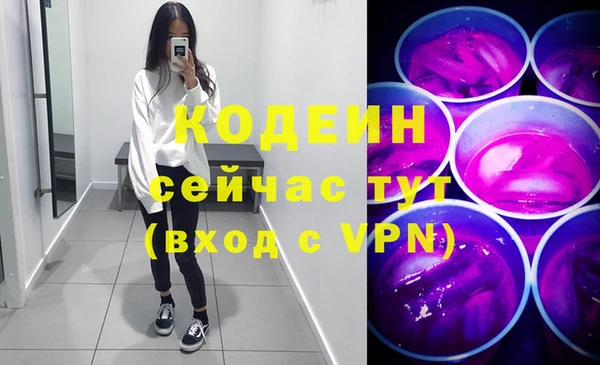 прущие грибы Абаза